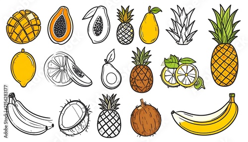 Assorted tropical fruits and pineapple leaves illustration.