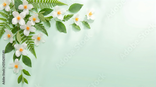 White meadowsweet flowers and ferns arrangement on mint green background