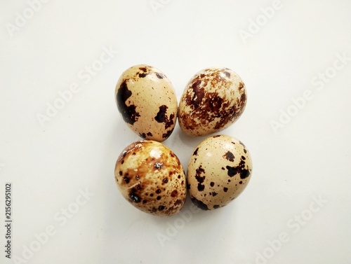 Konstfotografi quail eggs on white background