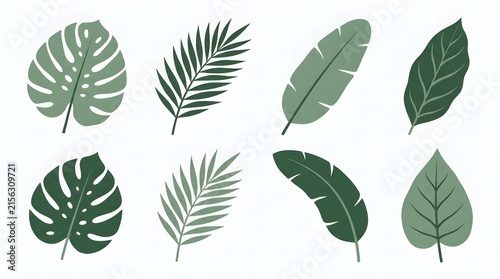 Set of grey tropical leaves and exotic plant foliage icons for nature design projects and organic botanical decoration