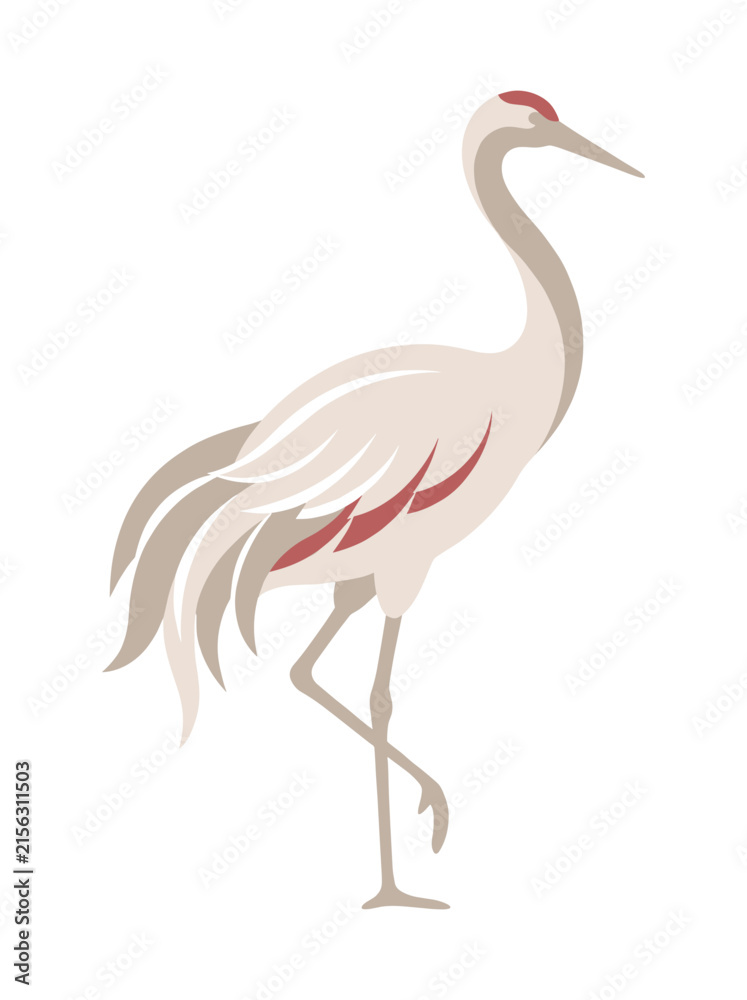 Naklejka premium Elegant crane bird illustration with simple features 