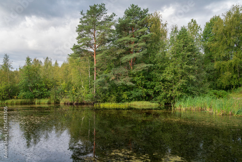 Canvastavla Walking route through the Sestroretskoye Boloto (Sestroretsk swamp) State Nature