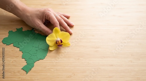 Yellow orchid blossom on a green map of Brazil over wooden background