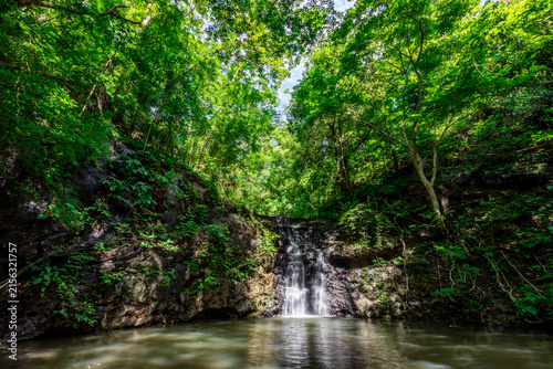 natural background of many species of plants that are laid out in the park, for the propagation of the species and to provide shade for those who stop by while traveling to study the ecology.