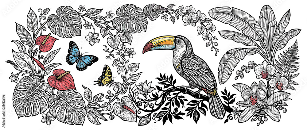 Obraz premium Tropical Toucan Bird with Butterflies and Lush Foliage Illustration