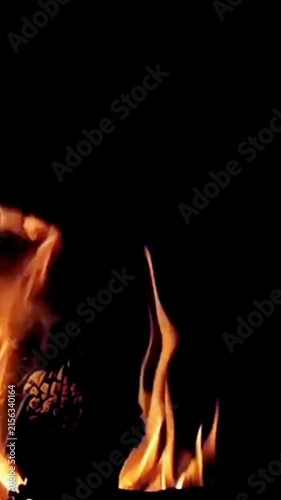 Realistic Burning Fire Flames on Black Background