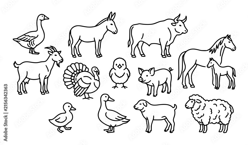 Fototapeta premium Minimal farm animal outline pictograms featuring goose turkey chick duckling sheep horse pig donkey and ox
