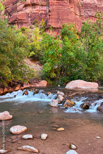 Virgin River rushing through Zion National Park canyon, Utah.