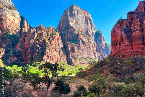 Stunning Landscape of Mountain Canyon with Lush Vegetation in Zion National Park Utah