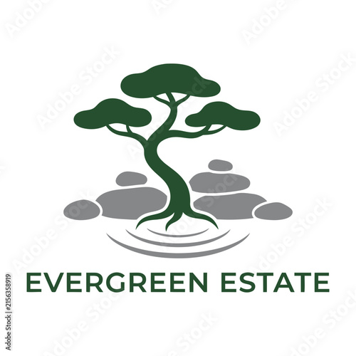 Bonsai tree logo design with stones and water ripples for real estate