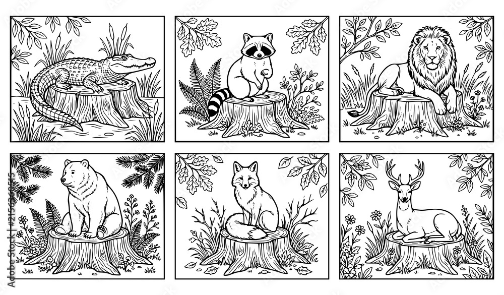 Obraz premium Collection of hand drawn wildlife illustrations featuring animals in individual decorative scenes with forest and natural backgrounds