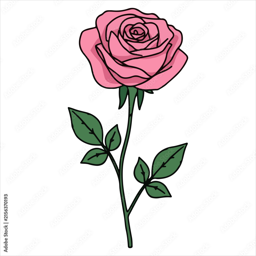 Fototapeta premium Detailed Pink Rose Flower Drawing with Green Leaves