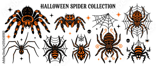 Collection of stylized spiders and spiderwebs for Halloween