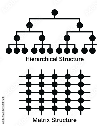 Hierarchical and matrix organizational structures.