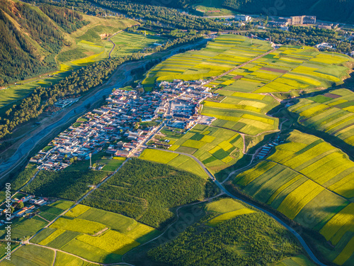 Aerial View of Village and Rapeseed Farmland near Zhuoer Mountain in Qinghai, China