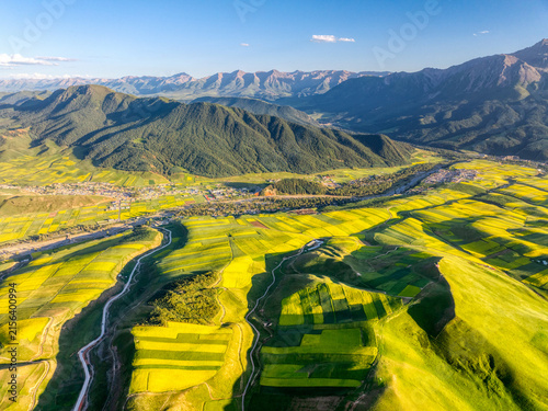 Aerial View of Rapeseed Fields and Mountain Landscape at Zhuoer Mountain in Qinghai Province, China