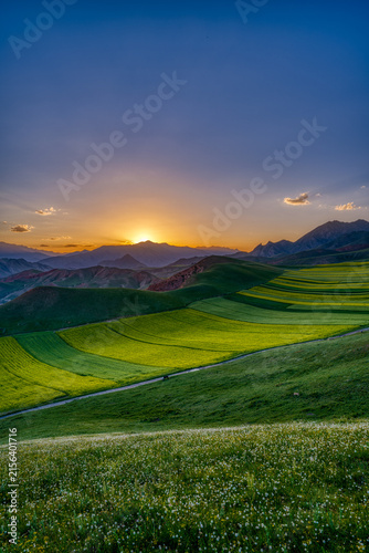 Sunset Over Rapeseed Fields and Mountains at Zhuoer Mountain in Qinghai, China
