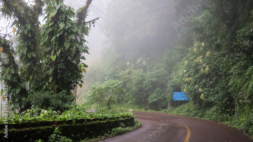 
Graciosa Road on a foggy day—a historic road in the Serra do Mar mountains of Paraná state, winding through the lush Atlantic Forest amidst flowering trees.