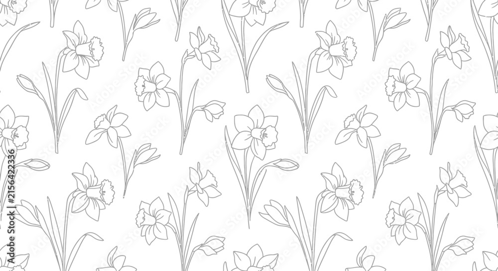 Fototapeta premium Isolated Daffodil Flower Pattern Outline