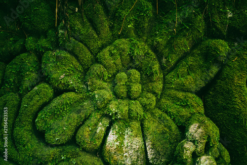 Green moss covering ancient stone sculpture detail, depicting a weathered floral carving showing nature reclaiming man-made art, symbolizing decay, time, and restoration