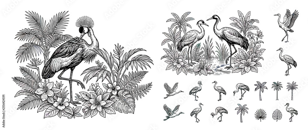 Naklejka premium Vintage Tropical Birds and Foliage Illustration Collection