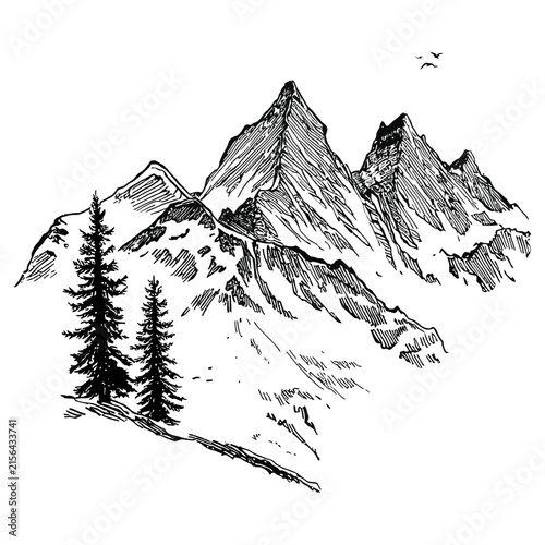 Mountains and Pine Trees Ink Illustration of Wilderness Landscape
