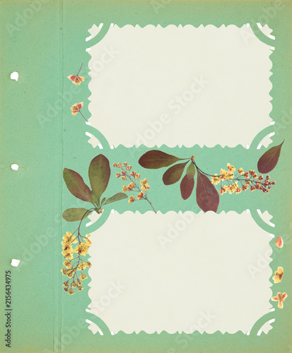 Photo album with empty photo frames with corners. Page for stories.  Scrapbook, floral elements. Page from old photo album. Dried pressed barberry flowers. Postcard, banner, poster, invitations.