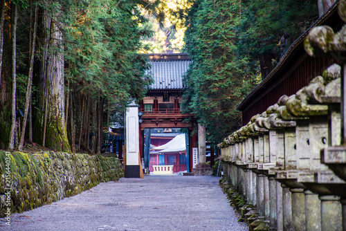 神社の参道に並ぶ石灯籠と歴史的な門、周囲を囲む豊かな木々の風景