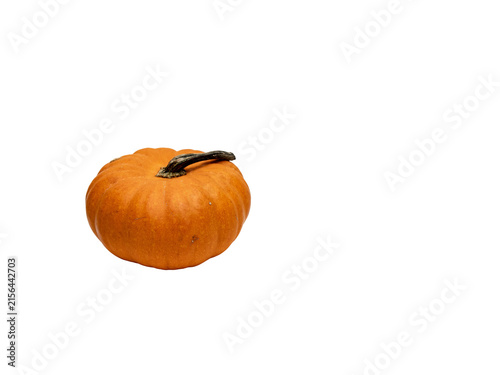 Foto pumpkin isolated on white background