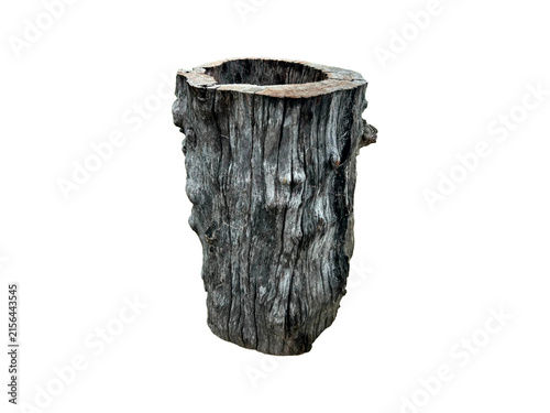 Hollow old tree stump trunk weathered wood isolated on white background