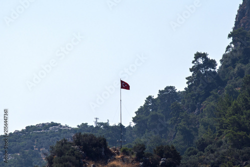 Bild auf Leinwand A Turkish flag hoisted against a blue sky background within the forest