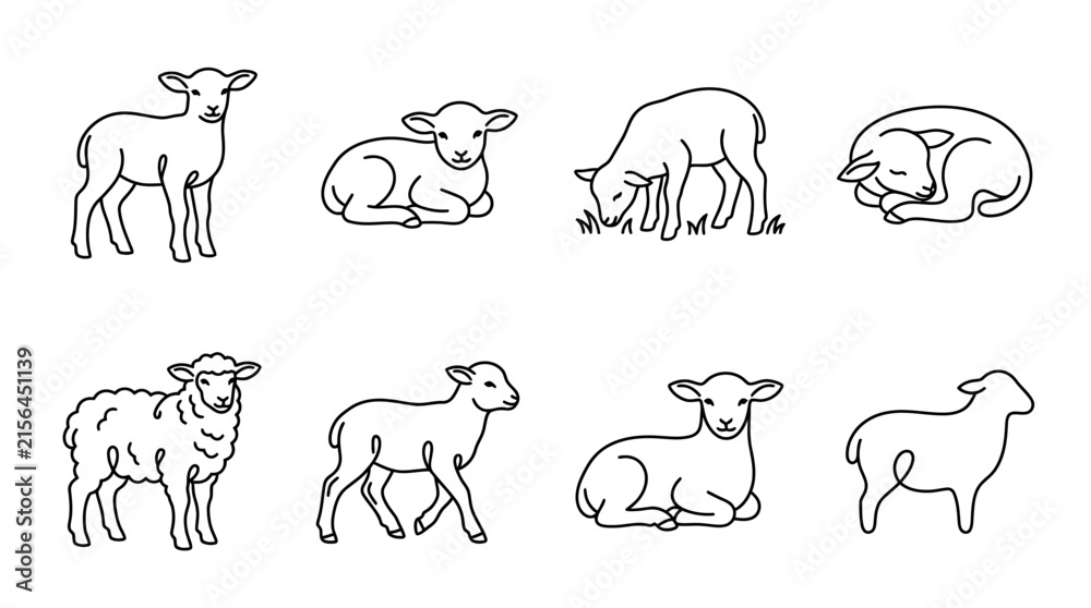 Obraz premium Diverse Lamb and Sheep Line Art Drawing Set Vector Illustrations in Various Poses for Farm and Nature Themes