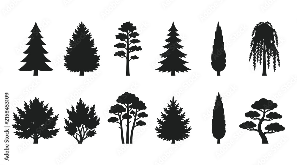 Fototapeta premium Collection of different tree silhouettes, deciduous and coniferous trees, forest plants