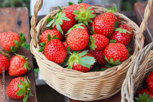 Basket of Fresh Strawberries Harvested from the Farm