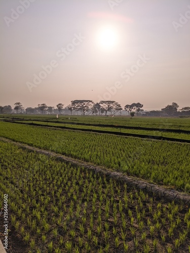 pagi hari yang tenang
