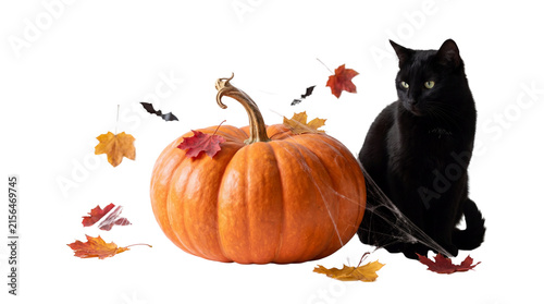 Halloween black cat with orange pumpkin, autumn leaves and bats on white background, spooky holiday feline portrait