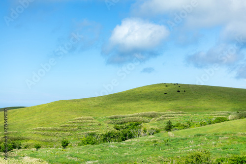 Konstfotografi Green rolling landscape and hilltop radar facility in the Soya Hills, Hokkaido