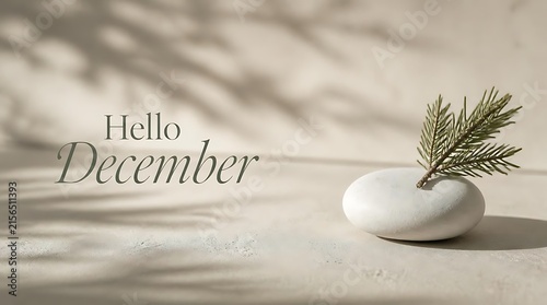 Hello December text with a small green branch in a white vase on a textured surface with soft shadows.