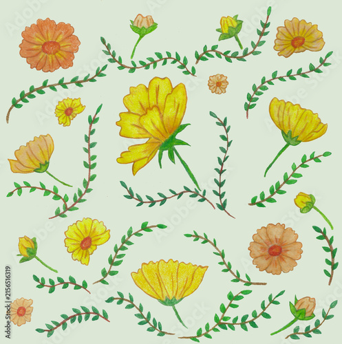 Hand-drawn Yellow&orange floral collection on sage green background