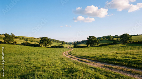 scenic view of a lush green grassy landscape with rolling hills against a clears sky