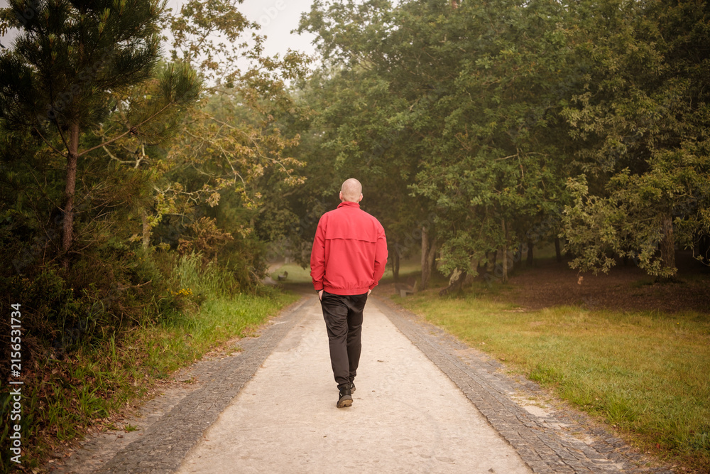 Fototapeta premium Man walking alone on park trail feeling solitude