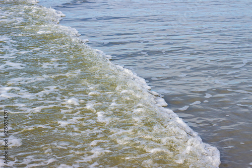 Canvas Print Gentle ocean waves lapping against the sandy shore under clear blue skies, creat