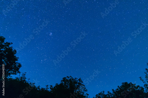 Perseid Meteor Shower Night Sky Filled With Stars in August 2026