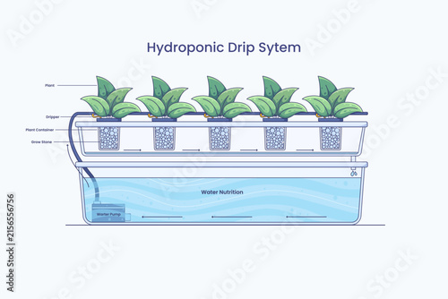 Bild auf Leinwand Diagram of a hydroponic drip system showing a water pump feeding drip emitters o