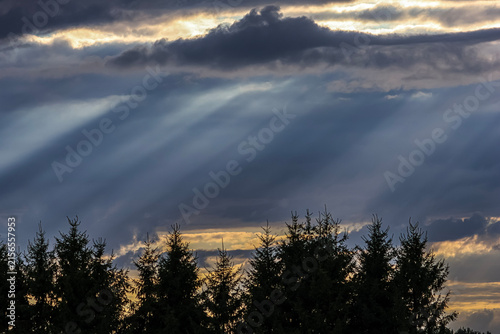 Foto Dramatic crepuscular rays pierce through stormy clouds over evergreen forest