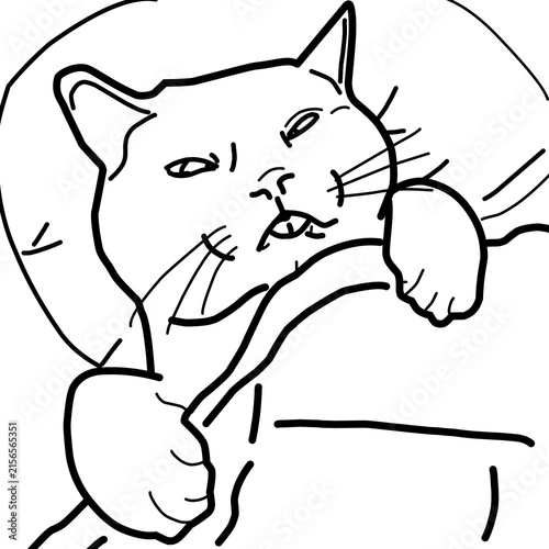 cat asleep illustration