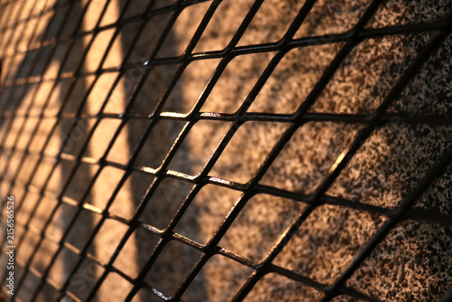 A photo of an iron house fence or a cage made of iron wire.