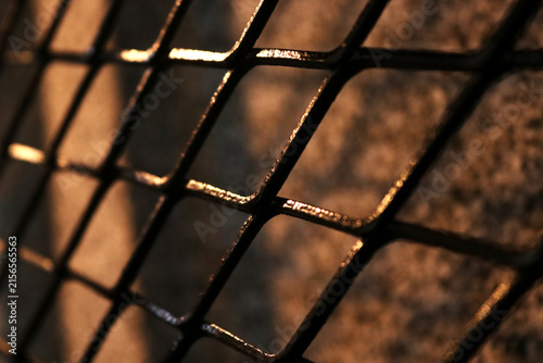 A photo of an iron house fence or a cage made of iron wire.