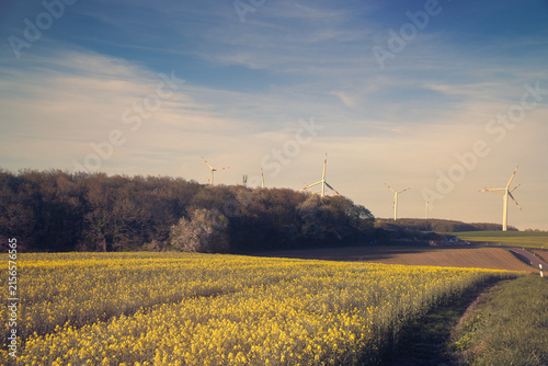 Yellow rapeseed field in front of an autumn forest and wind turbines.