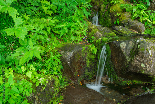 高原の清水